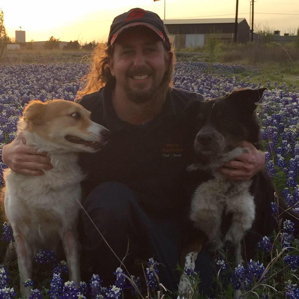 Rich and Dogs Field